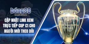 cập nhật link xem trực tiếp Cup C1